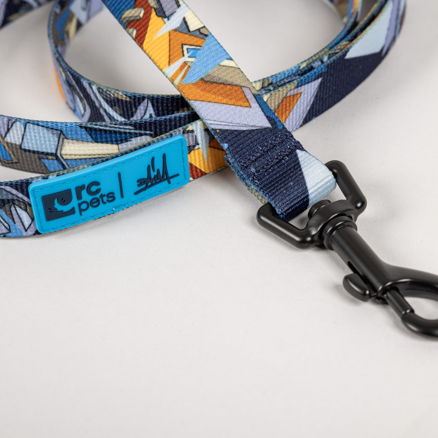 Leine / Leash